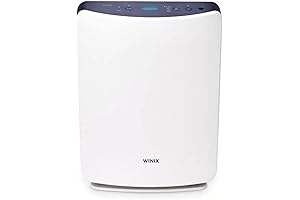 Winx Air Purifier: Clean Air for a Healthier Home