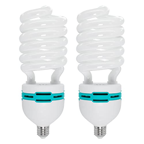 Best Full Spectrum Fluorescent Bulbs For Every Home