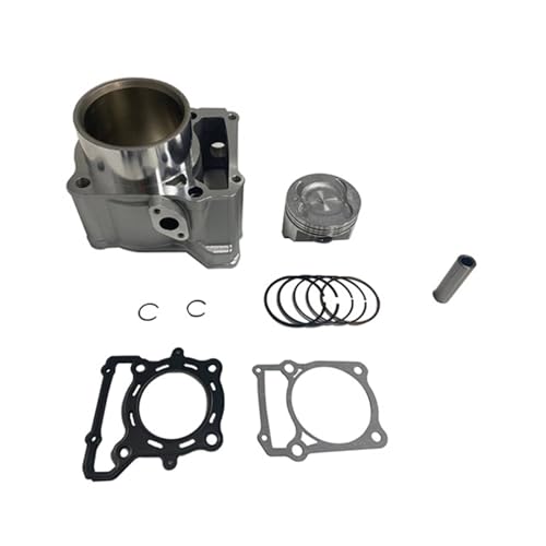 TREGOO Compatible With KLX300 1996 1997 1998 1999 2000 2001 2002 2003 2004 2005 2006 2007 Motorcycle Cylinder Piston Rings Gasket Set Cylinder Head Assembly