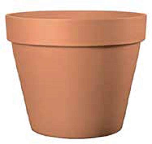 Generico Vasi Terracotta 12 Pezzi Diametro 13 cm, Altezza 10 cm per Giardinaggio Piante Grasse Mini Cactus Succulente Idea Regalo Bomboniera con Foro per il Drenaggio dell'Acqua