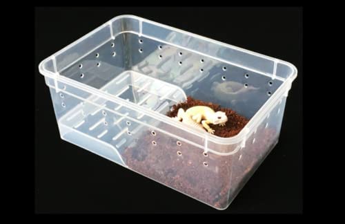 Amazon | Karubi 爬虫類・両生類用飼育ケース 爬虫類飼育ボックス