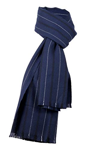 Ermenegildo Zegna Navy Blue Fine Stripe Pure Wool Fringe Scarf for Mens