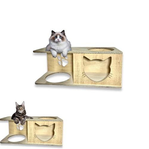 Playground Para Gatos 1 Nicho Tamanho G Área Externa Montado Seguro