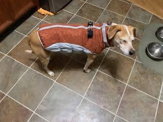 Dog Winter Jackets,Winter Coats for Large Dogs, Winter Dog Coat With Harness​ photo review