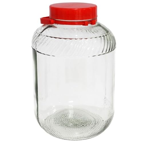 Tradineur - Tarro de vidrio con asa y doble tapa, bote con boca ancha, frasco, recipiente para almacenar conservas, encurtidos, salazones, pepinillos - 40 x 25 cm - 16 litros