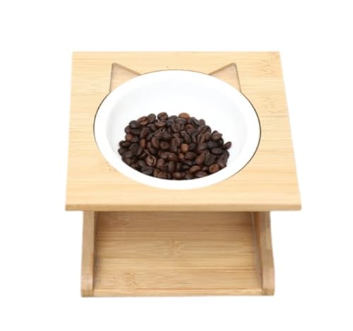 NȐH` ybg{E X^h ё Lp Zbg ؐybgpiAؑoqAL̎یpєAPqAqALqAHAƒp (1Zbg)