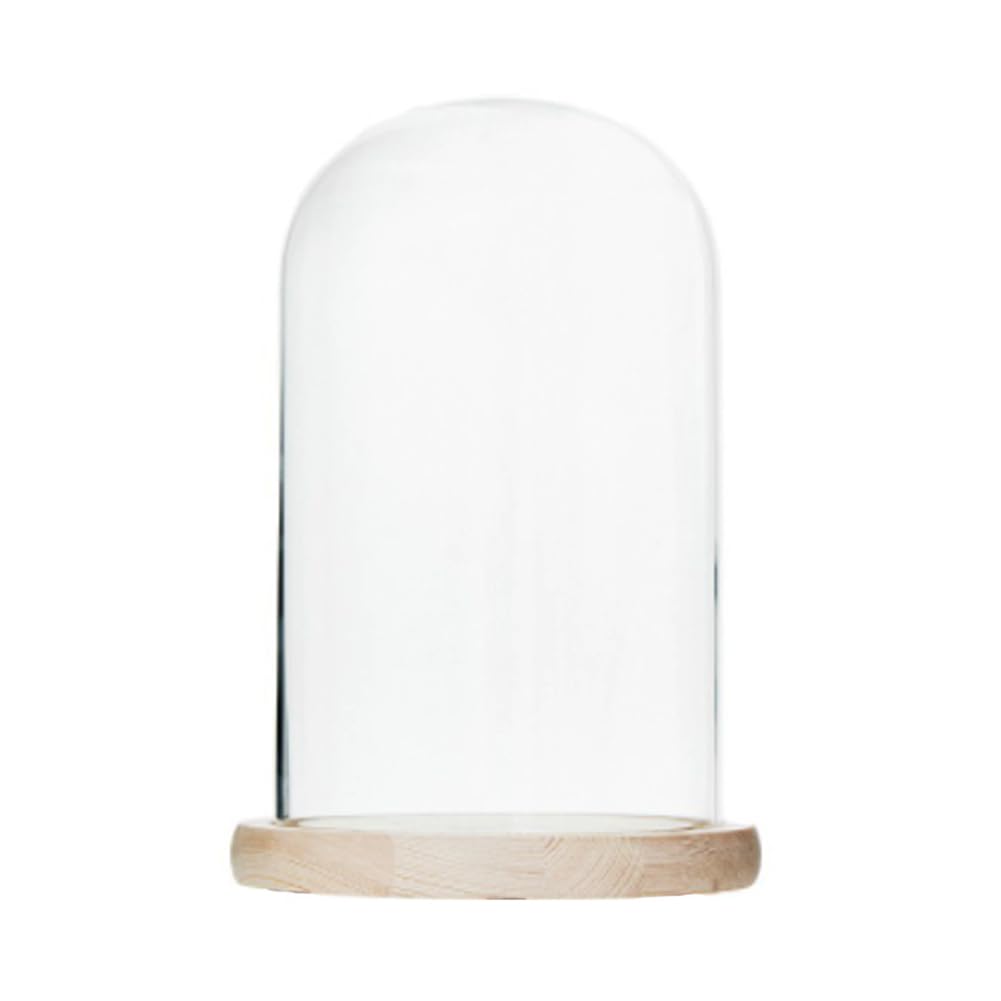 Beige Glass Domes For Display | 30Cm Glass Cloche With Vintage Wooden Base | Decorative Clear Display The Bell Jar | Transparent Cover Showcase For Plant Collection Toy Crystal