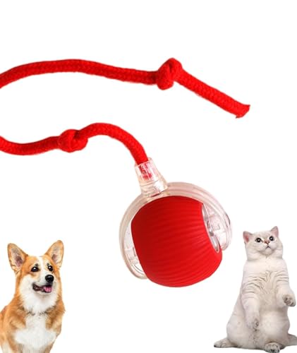 Image of Cat Toys Ball - Smart Rolling LED Ball, Automatic & USB Rechargeable Motion Activate for Indoor Kitten Puppy Dog cat- Pet Exercise, IQ Training, Fun & Engaging Pet Toy
