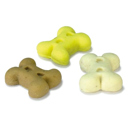 Arquivet, Kekse, Hundekekse, Mini-Vanilleknochen, 1 kg