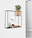 Umbra Cubist Floating Shelf with Built-In Succulent Planter – Modern Wall Décor and Geometric Display Shelf for Books, Candles, Mementos, Photos, Indoor Plants and More! | Large, Black