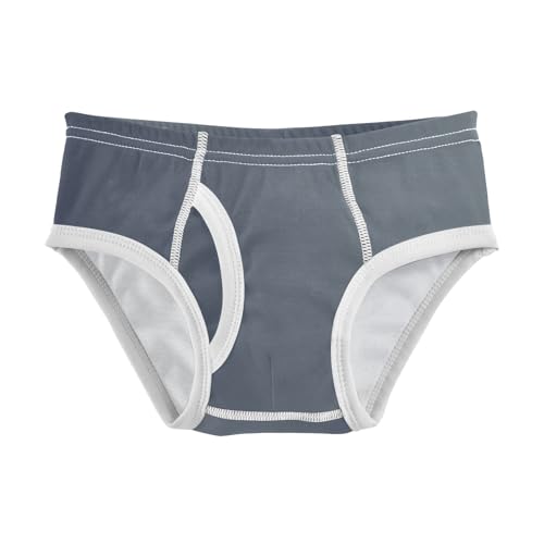 ODAWA Blue Grey Gradient Boys Cotton Briefs Soft Boys Underwear 6t Underwear