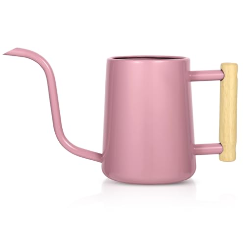Watering Can Indoor Plants, 35 oz/1000 ml Metal Stainless Steel Watering Can Pot with Long Spout for...