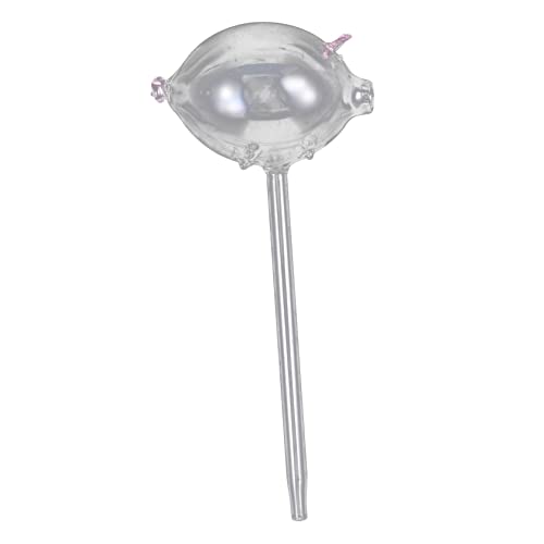 Milisten de riego de Plantas Globos de riego automático Globo de riego Cerdo bulbos de para Plantas de Interior Picos de bulbos de riego de Plantas Vidrio Transparent