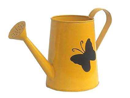 Royal Baskets 1 Butterfly 2 litres Metal planters Watering Can - Rust Free Home Decor Gifting, Garden, Gardening, Tools ( Pack of 1 ) (Yellow)