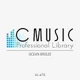 C MUSIC Corp.