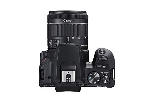 Kit Premium Canon EOS Rebel SL3 4K + Lentes 18-55mm e 55-250mm IS STM