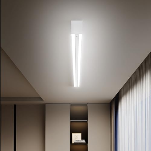 Étendoir à Linge de Plafond Invisible, Fixation Murale, avec télécommande et Levage Automatique. Idéal pour Les Petits balcons et l'intérieur.