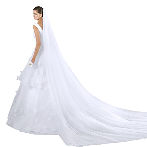 Soft Tulle Wedding Veil for Bride Lady 2 Layers 3 Meters Long Cathedral Chapel Floor Veils Embroidered Lace Trim Hair Side Comb (White)