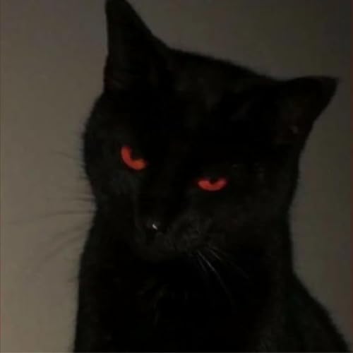 Page de couverture de Amcas v1