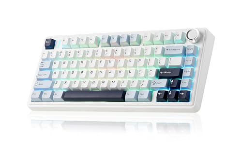 AULA F75 ラピッドトリガー キーボード