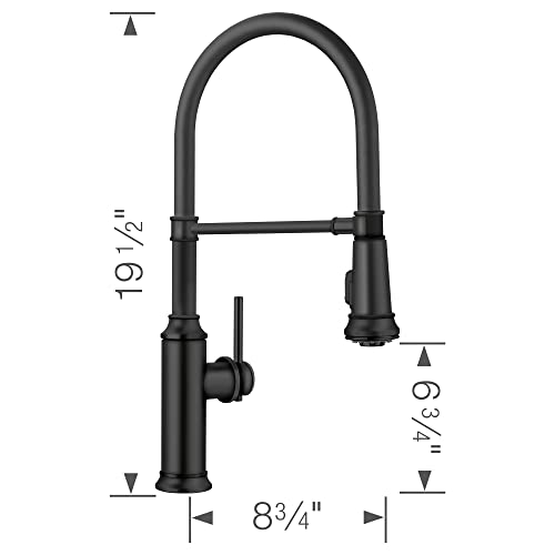 Image of Blanco Empressa Semi-Pro Kitchen Faucet 1.5 GPM, Matte Black