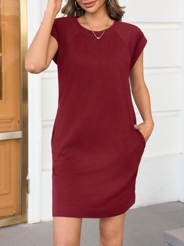 Wenrine Womens Summer T Shirt Dress Casual Cap Sleeve Crewneck Loose Shift Mini Dresses3