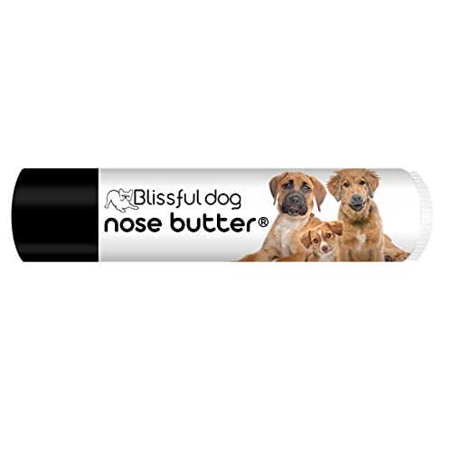 Image of The Blissful Dog Mixed Breed Unscented Nose Butter - Dog Nose Butter, 0.15 Ounce