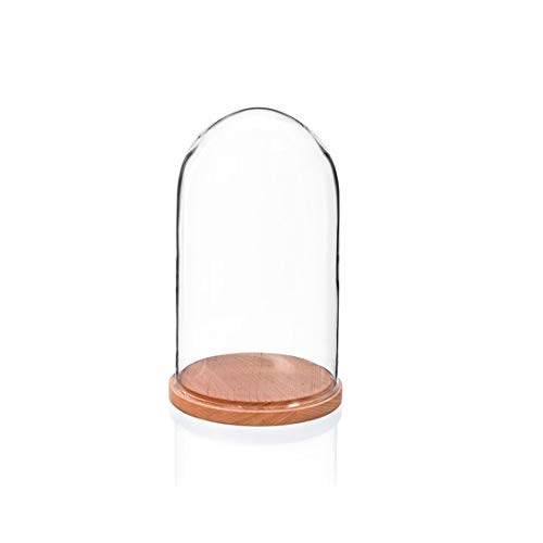 EMH Small Glass Display Cover Dome Cloche With Natural Beech Base Height 27.5cm