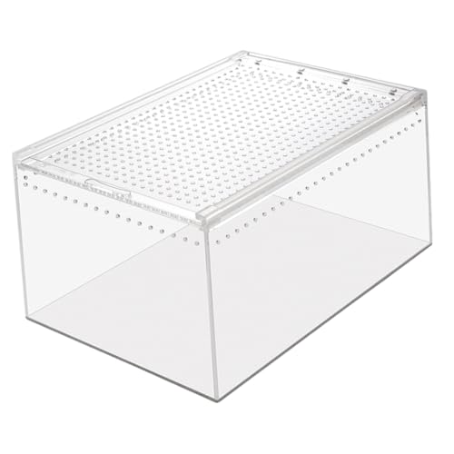 Phantasmia hR঒ގP[W ^aꌓp ʋC݌v  N gJQΉ ϋvfގgp