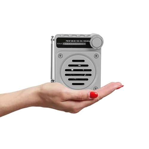 Image of Fire Turtle Pocket Blast FM Radio with Bluetooth Speaker with Powerful Sound,FM Recording, Antenna, 6w-12 Hours (USB Charging) and Number Pad (AUX, SD Card, USB Input) (Mini Retro Grey)