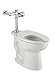 American Standard 6047SM121.002 Flush VALVES Manual Toilet FV, 1.28 GPF, SMO, Chrome