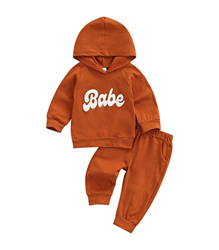 Image of Newbron Baby Girls Boys Clothes BABE Letter Printed Long Sleeve Pullover Hooded Sweatshirts+Pants Outfits (Brown, 3-6 Months)