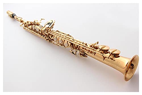 vtFbVi TbNX \vm TbNX }bg ubN bJ[ B-tbg \vm TbNX P[Xt }EXs[X [h lbN ^J TbNX rMi[YLbg (F: S[h)