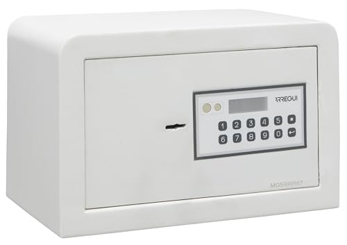 ARREGUI Magna 590010 Cassaforte da Armadio con Serratura a Doppia Sicurezza | Cassetta di Sicurezza con Codice e Chiave | Cassaforte Picolla da Mobile, Mensola o Pavimento | 20x31x20 cm | 8 L