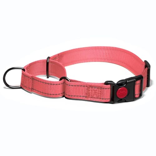 Collar de perro Martingala, reflectante para perros grandes, medianos y pequeños, collar de nailon con parada para perros Whippets, galgos (rosa, XS)