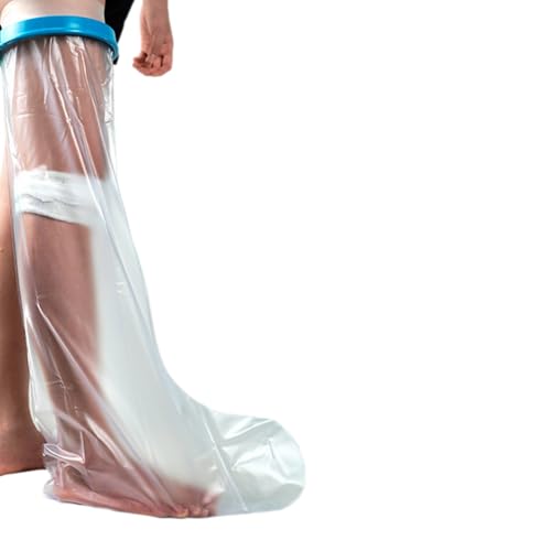 Hoomyew V[Jo[ђуveN^[hꂽV[̑nܑl̒r