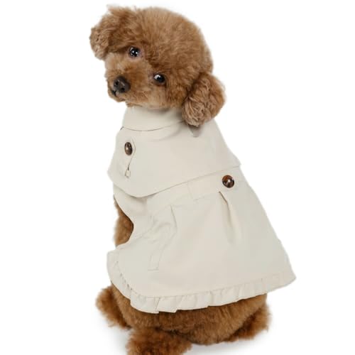 ybgp_CX   ~ ₷ g` |` n[lX[hʂ H~ rr K