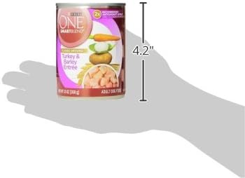 Purina ONE Vibrant Maturity Turkey & Barley Senior Dog Food 13 oz. (Pack of 12)