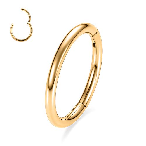 hengkaixuan 316L Surgical Steel Nose Hoop Ring Hinged Segment Clicker Ring Cartilage Helix Lip Tragus Conch Piercing Jewellery Sleeper Earrings Septum Lobe Hoop Earring for Women