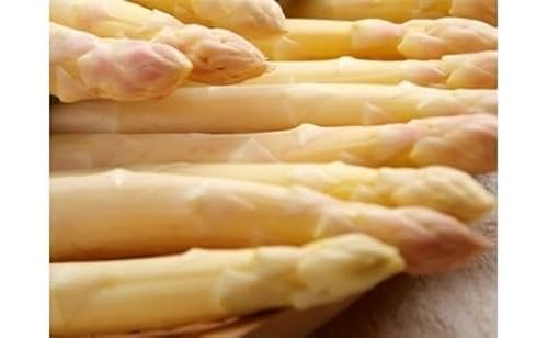 073 ホワイトアスパラガス約1.0kg(6〜7月出荷)