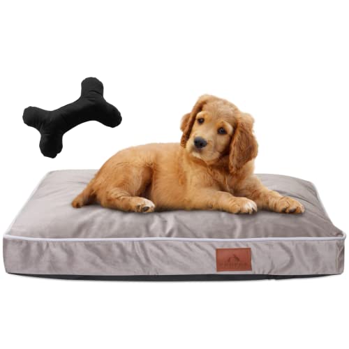 FUUFEE Hundematte PERRO Hundesofa mit Abnehmbarer Bezug aus kuscheligem Velvet-Stoff | für Mittlere und Große Haustiere | waschmaschinengeeignet bei 40°C | Hazelnut M Cover