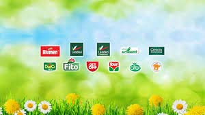 Landen Spinacio Riccio F.1