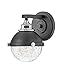 Hinkley Fletcher 5170BK-CM Single Light Vanity Wall Sconce - Vintage Industrial Fixture, Clear Seedy Glass, Bath and Beyond - Black + Chrome