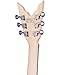 Leo Jaymz Diminator 6-String Electric Guitar, Bone Nut, 24 Fret, Mahogany Body with Roasted Maple Neck, Rose Wood Fretboard, Alnico V Pickups, Double Way Tremolo System With Locking Nut (White-Black)