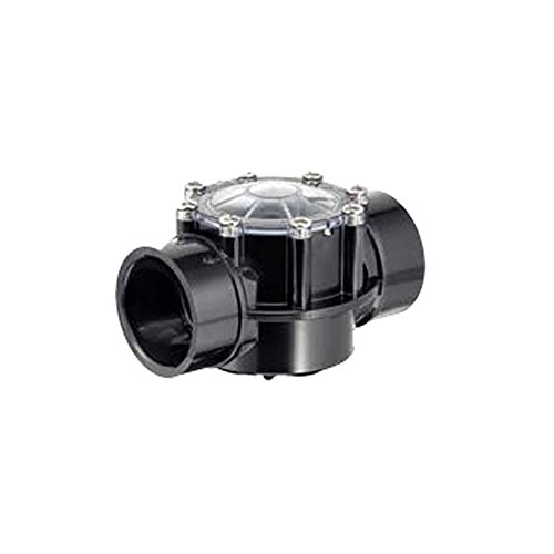 Hayward PSCV2S CPVC Check Valve, Black