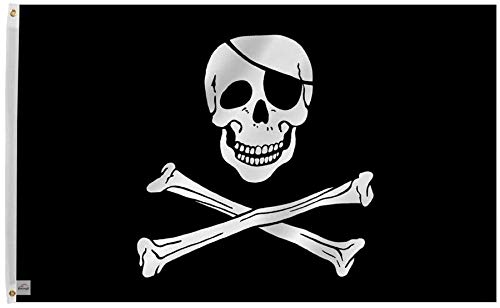 Ericraft Bandera Pirata Grande 90x150cms Bandera Pirata de balcón para Exterior Reforzada y con 2 Ojales metálicos Cover