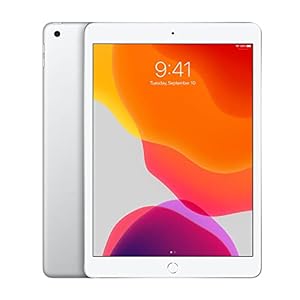 2019 Apple iPad (10,2-inch, Wi-Fi, ...