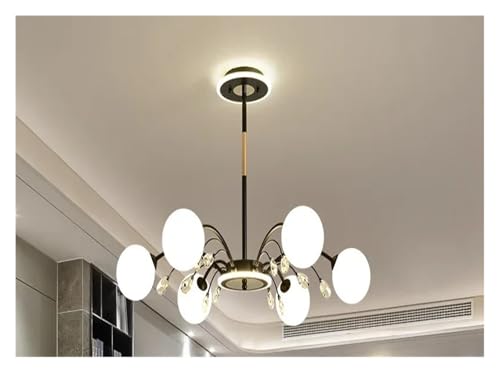 Lampe à suspension LED moderne noire avec lustres en verre créatifs