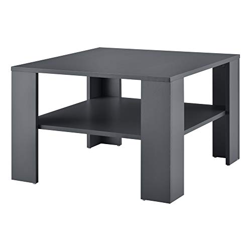 [en.casa] Table Basse de Salon Table d'Appoint avec Espace de Rangement Stockage Panneaux de Particule Bois 60 x 60 x 40 cm Gris Foncé
