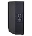 Peavey SP 2 1000-Watt 2-Way PA Speaker